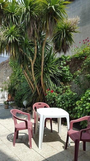 Hotel acceptant les chiens