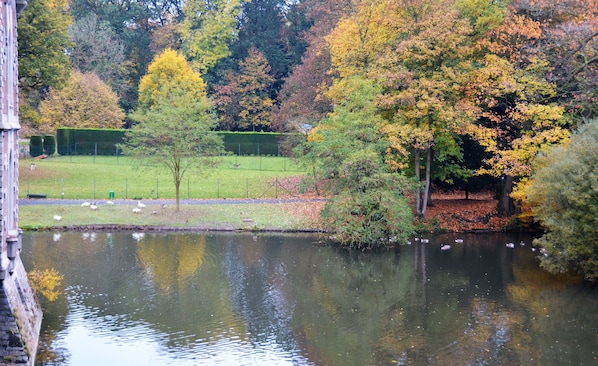 Haras des Chartreux accepte les chiens à Estaimpuis