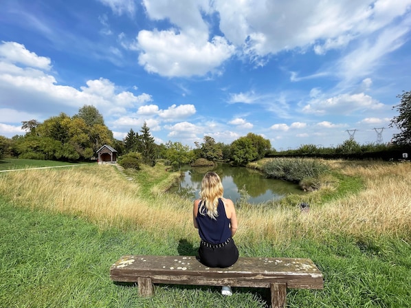 Premiere Classe Villejust - ZA Courtaboeuf accepte les chiens à Villejust