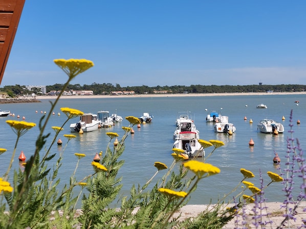 The Originals Access, Hôtel Recouvrance accepte les chiens à Saintes