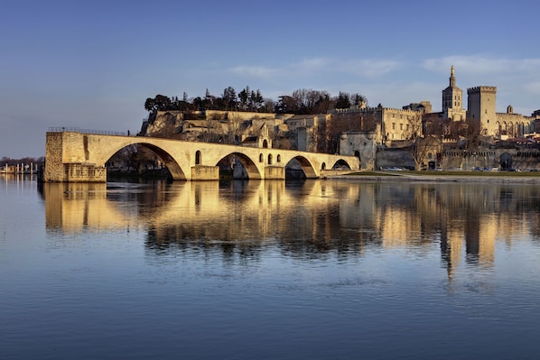 Mercure Avignon Centre Palais des Papes accepte les chiens à Avignon