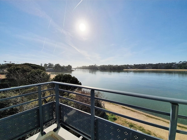 Le Pavillon Bleu accepte les chiens à Soorts-Hossegor