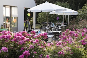 Hotel acceptant les chiens