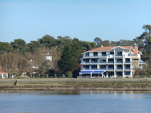 Hotel acceptant les chiens