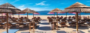 Hotel acceptant les chiens