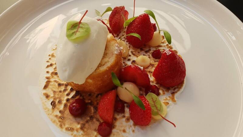 Mealtin'Potes accepte les chiens à Mulhouse