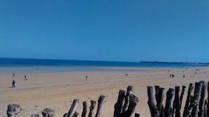 Hotel acceptant les chiens