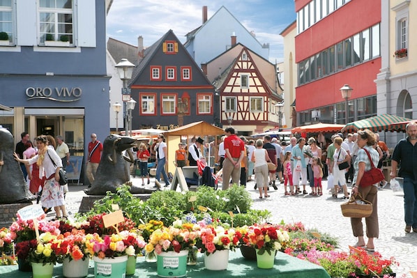 Holiday Inn Express Offenburg, an IHG Hotel accepte les chiens à Offenburg