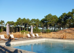 Hotel acceptant les chiens