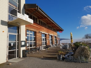 Hotel acceptant les chiens