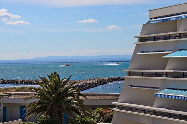 Résidence Ulysse accepte les chiens à Le Grau-Du-Roi