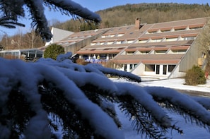 Hotel acceptant les chiens