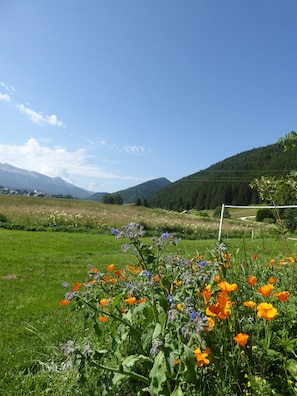 Hotel acceptant les chiens