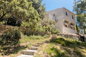 Hotel acceptant les chiens
