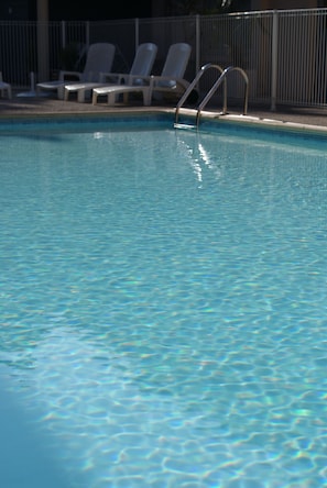 Hotel acceptant les chiens