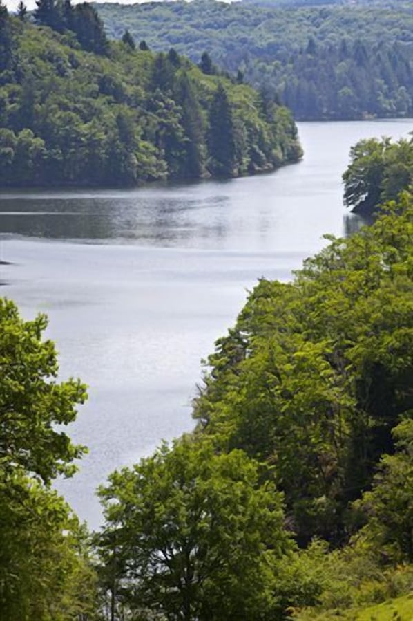 Hôtel du Lac accepte les chiens à Lacapelle-Viescamp