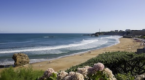 Hotel acceptant les chiens