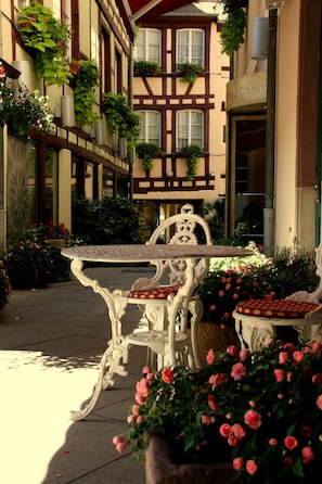 Hotel acceptant les chiens