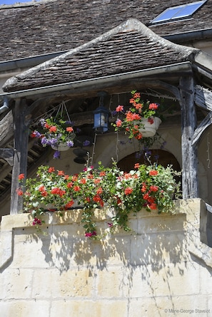 Hotel acceptant les chiens