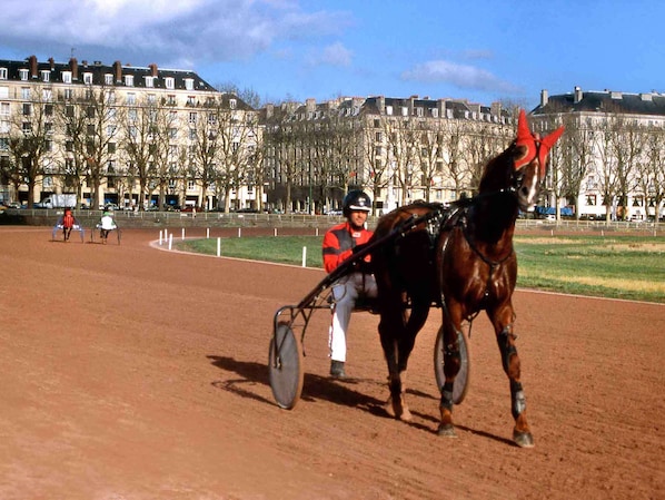 Mercure Caen Cote de Nacre Herouville Saint Clair accepte les chiens à Herouville-Saint-Clair