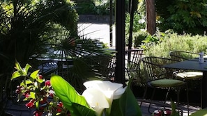 Hotel acceptant les chiens