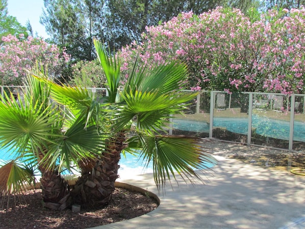 Kyriad Montpellier NORD - Parc Euromédecine accepte les chiens à Saint-Clement-de-Riviere