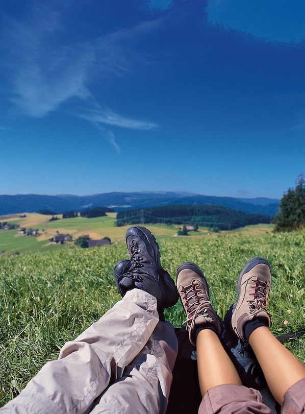 Hotel Restaurant zum Ochsen accepte les chiens à Schallstadt
