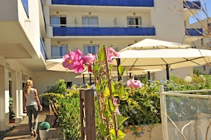 Hotel acceptant les chiens