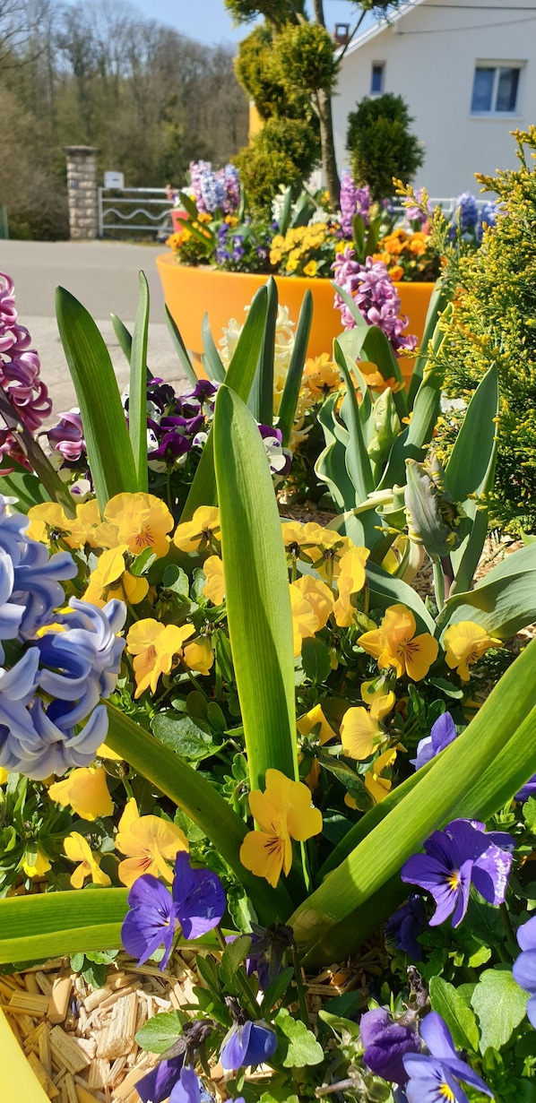 Premiere Classe Besancon - Ecole Valentin accepte les chiens à Ecole-Valentin