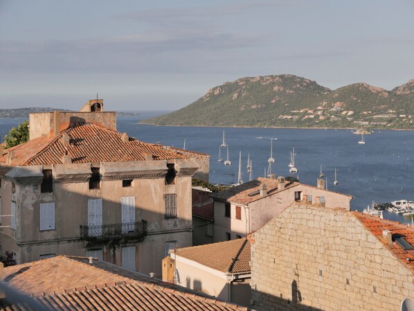 Hotel Moderne accepte les chiens à Porto-Vecchio