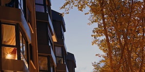 Hotel acceptant les chiens