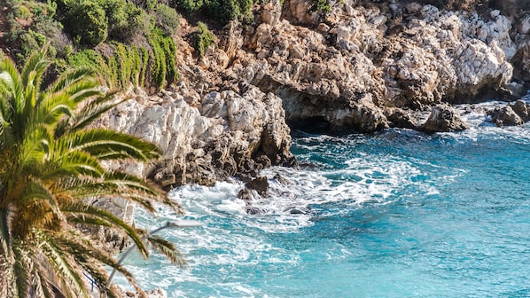 Le Saint Paul Hôtel accepte les chiens à Nice