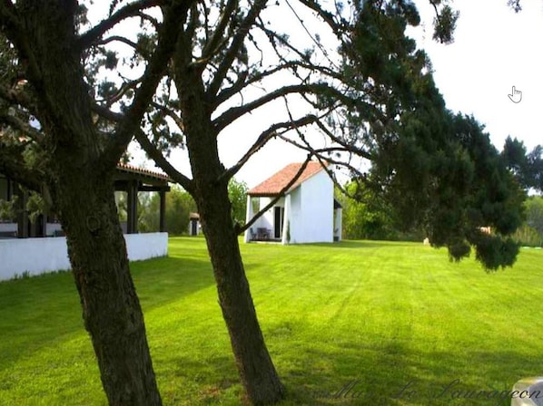 Hôtel Mas le Sauvageon accepte les chiens à Saintes-Maries-de-la-Mer