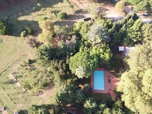 Hotel acceptant les chiens