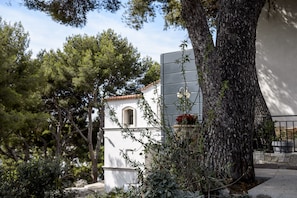 Hotel acceptant les chiens