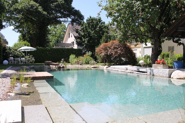 Hotel Garni Schacherer accepte les chiens à Muellheim