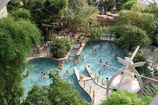 La Grange 41 accepte les chiens à Vouzon