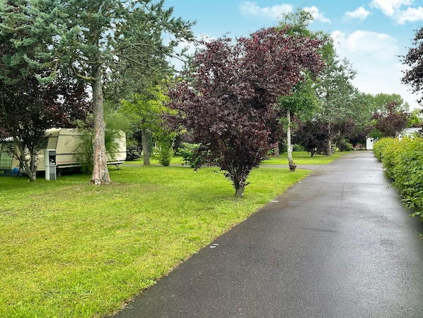 Resort & Camping - Val De Braye accepte les chiens à Besse-sur-Braye