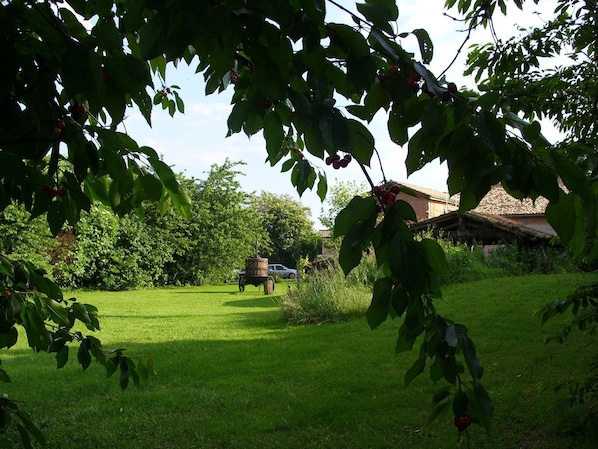 L'étable haute accepte les chiens à Couthures-sur-Garonne