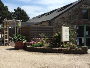 Hotel acceptant les chiens