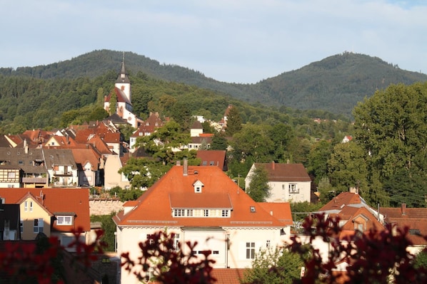 Hotel Stadt Gernsbach accepte les chiens à Gernsbach