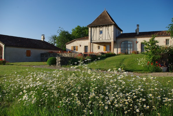 Le hameau des Coquelicots accepte les chiens à Saint-Léon