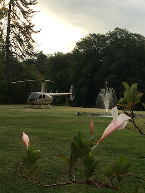 Hotel acceptant les chiens