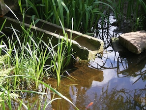 Hotel acceptant les chiens