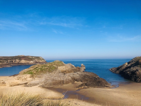 Hôtel L'Adresse accepte les chiens à Saint-Malo