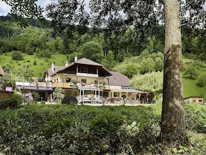 Hotel acceptant les chiens