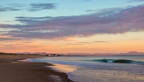 Hotel acceptant les chiens