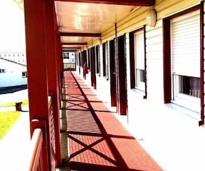 Hotel acceptant les chiens