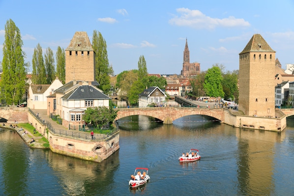 Hôtel de l'Europe by Happyculture accepte les chiens à Strasbourg