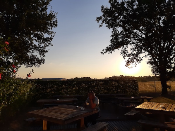 B&B Hotel Montauban accepte les chiens à (avenue de Paris) Zone Futuropôle